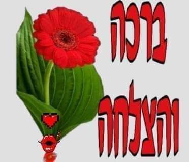 הנדימן דורון תיקונים שיפוצים לעסק בית עבודות גבס צבע שפכטל אינסטלציה התקנת טלווז