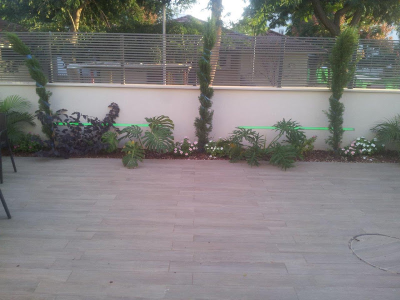 הדקל שיפוצים קבלן שיפוצים רשום בתל אביב