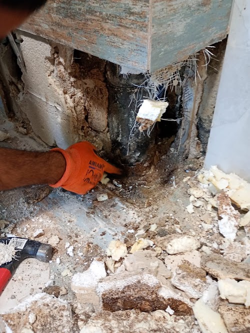 רפאל בוכריס שירותי אינסטלציה וביובית
