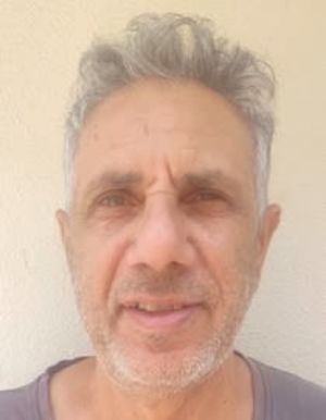 אילן