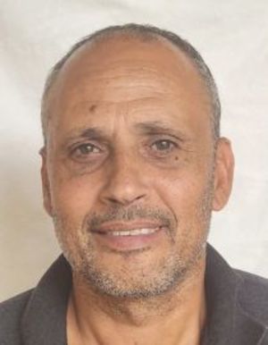 מוטי