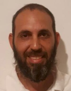 ארז