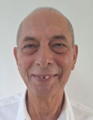 ולדימיר