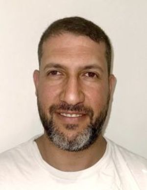 שניר
