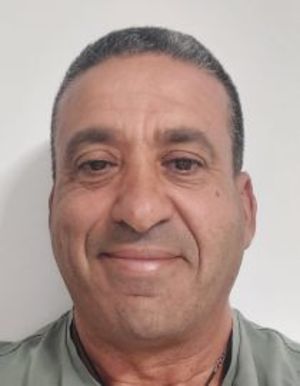 אילן