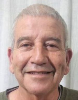 אלי