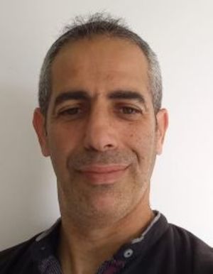 אילן